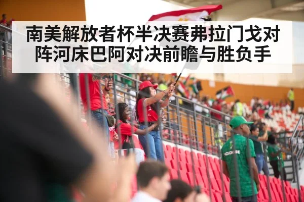 soccer stadium crowd | kaiyun